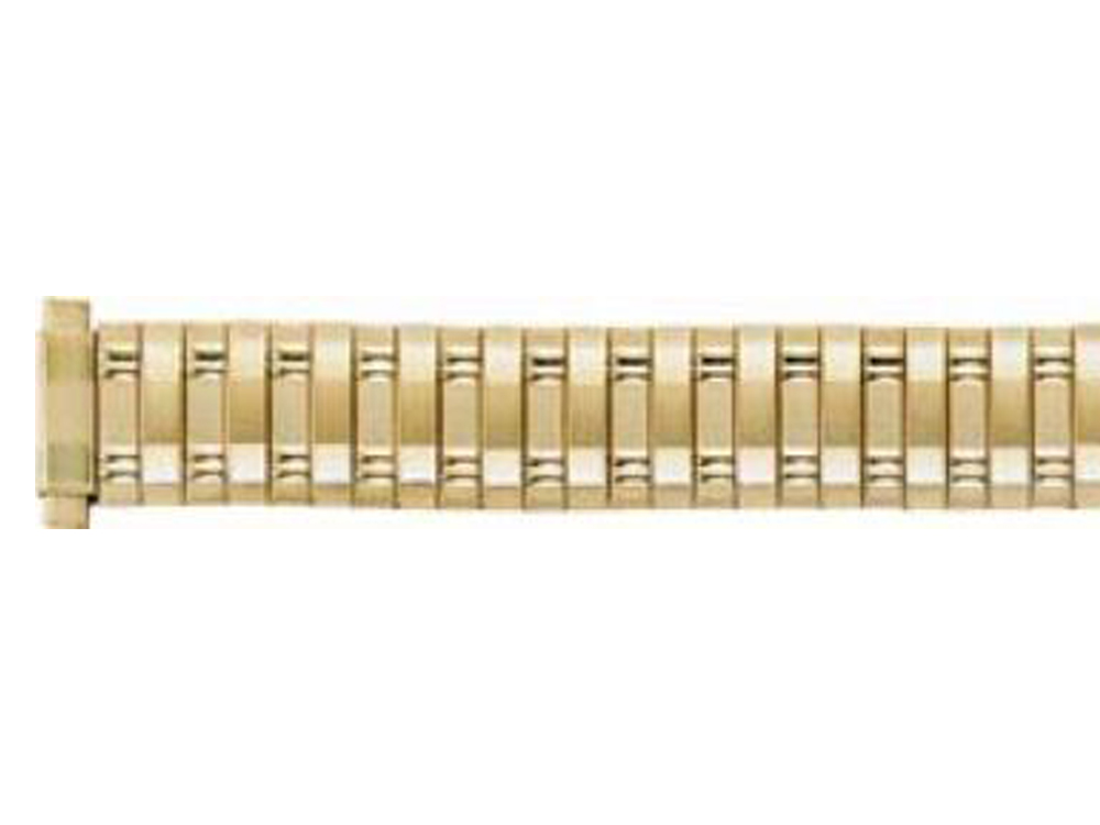 Ladies Alpine Expansion Watch Band