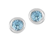 December Birthstone Earrings