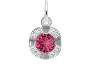 January Birthstone Charm